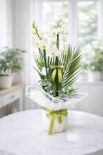 2 Dal Beyaz Orkide Çiçeği - Görsel 2