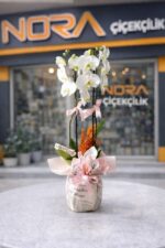 Gazete Buketli Saksıda Beyaz Orkide