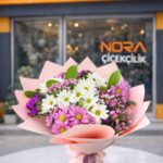 Hüsnüyusuf ve Papatyalar