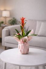 Buket Kağıtlı Saksıda Guzmania - Görsel 2