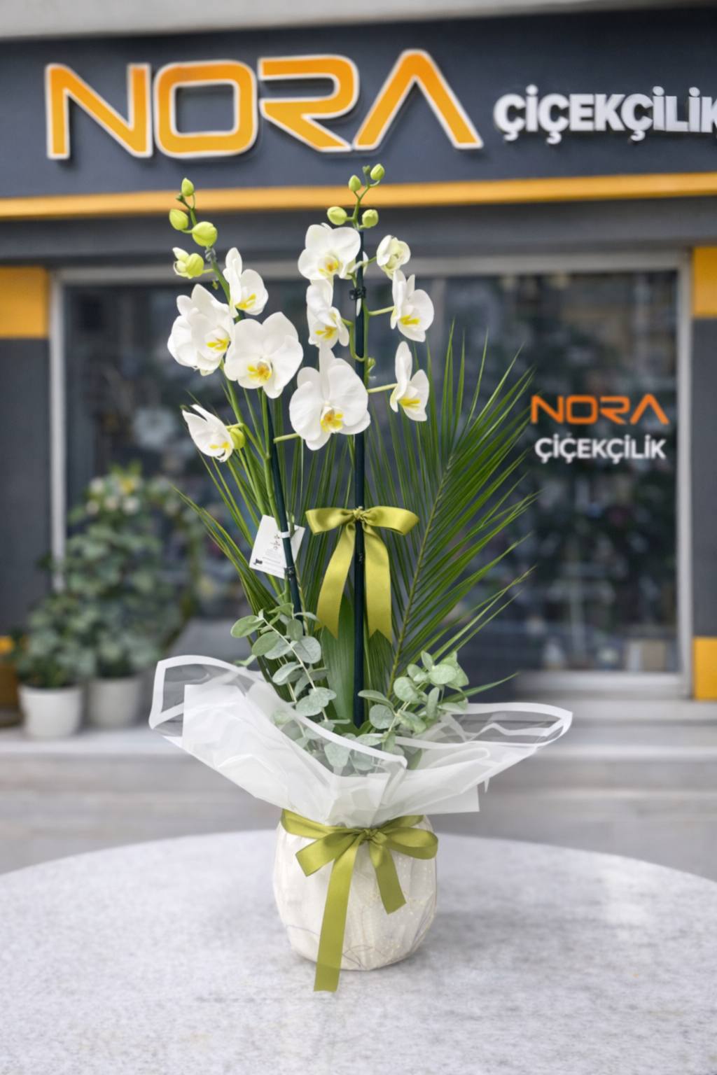 nora_cicek_orkide 2 Dal Beyaz Orkide Çiçeği - Görsel 1