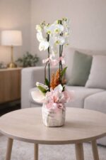 Gazete Buketli Saksıda Beyaz Orkide - Görsel 2