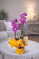 Sarı Buket Kağıdında Mor Orkide - Görsel 2