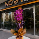Sarı Buket Kağıtlı Saksıda Çiftli Mor Orkide